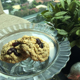 Mommy Treats Sugarfree Super Momma Cookies Cranberry Walnut with White Chocolate (Lactation) | The Nest Attachment Parenting Hub